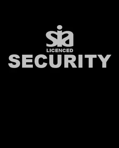 SIA Licensed SECURITY Hi-Vis Polo Shirt Reflective | Heavyweight - Image 2
